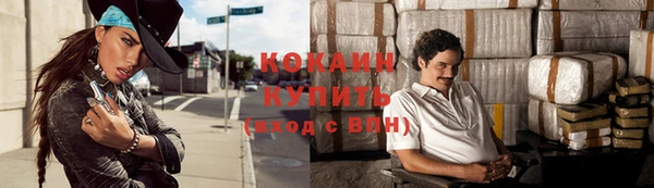 бошки Бородино